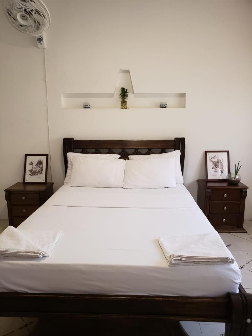 Haba Eco Hostel サンタ・マルタ エクステリア 写真